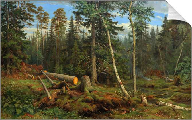 Картины на холсте Рубка леса