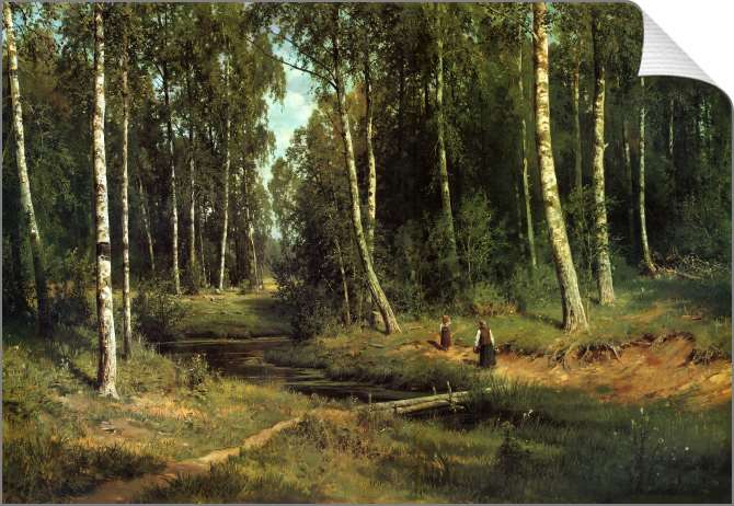 Картины на холсте Ручей в березовом лесу