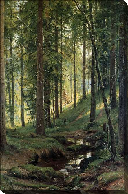 Paintings on canvas A stream in the forest