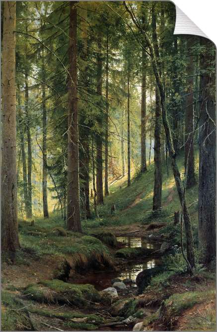Картины на холсте Ручей в лесу