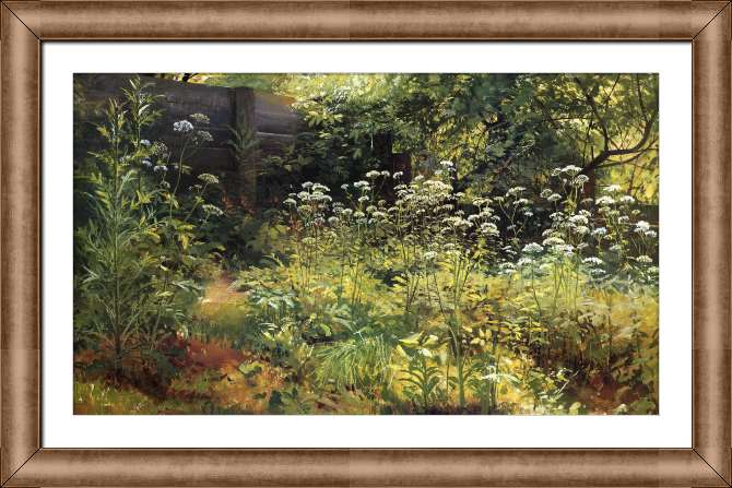 Картины на холсте Сныть-трава. Парголово