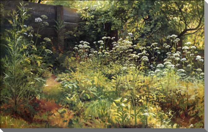 Картины на пластике, пеноркартоне Сныть-трава. Парголово