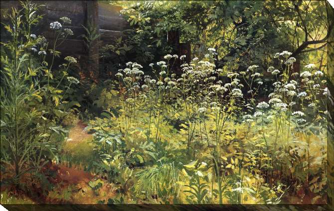 Paintings on canvas Snyt is grass. Pargolovo