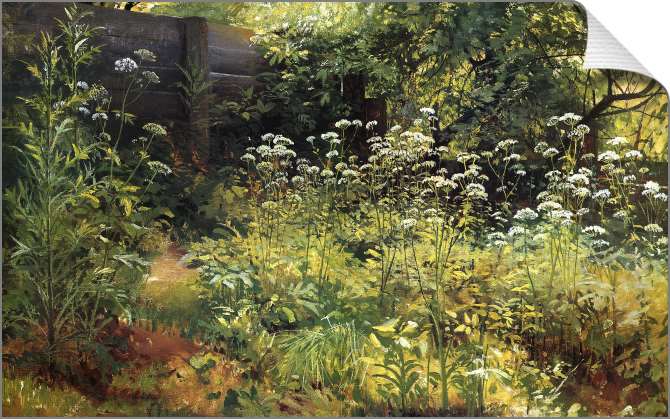 Картины на холсте Сныть-трава. Парголово