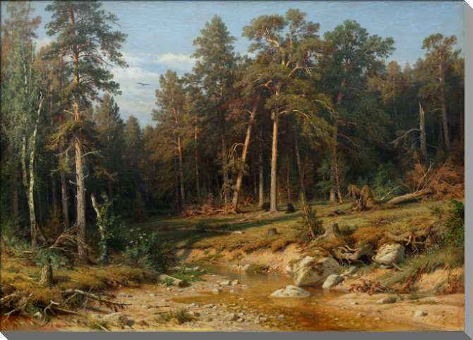 Картины на пластике, пеноркартоне Сосновый бор. Мачтовый лес в Вятской губернии