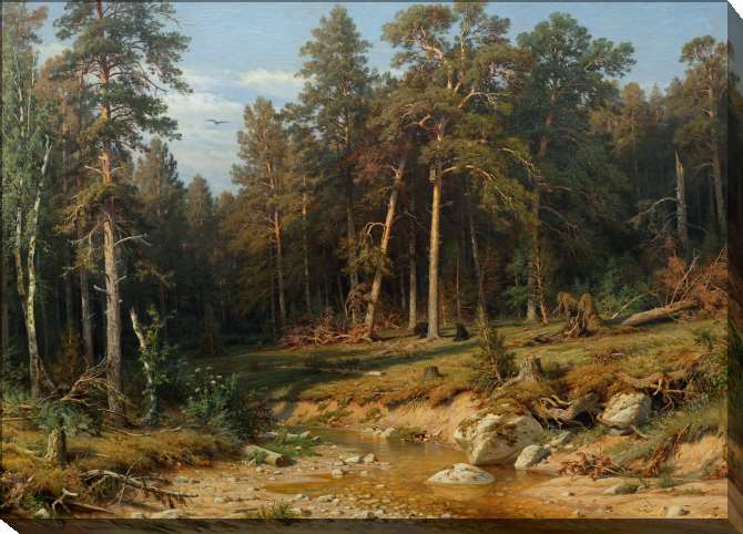 Paintings on canvas Pine forest. Mast forest in Vyatka province
