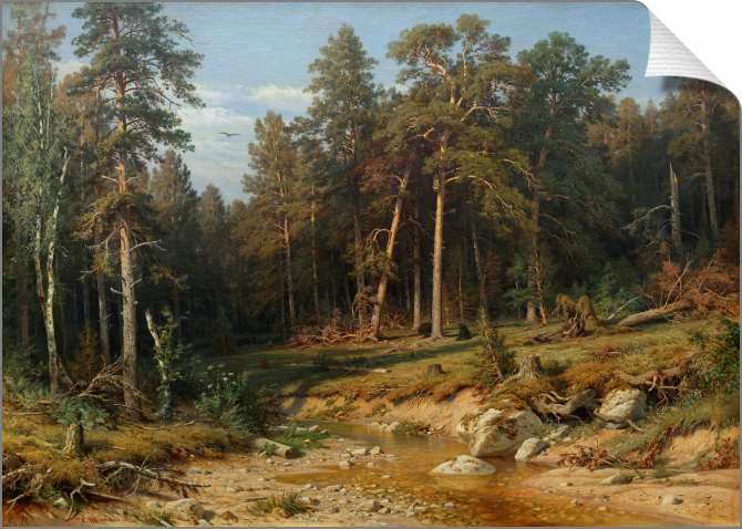 Картины на холсте Сосновый бор. Мачтовый лес в Вятской губернии