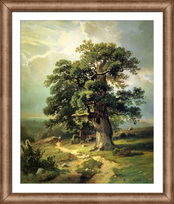 Картины на холсте Дубы