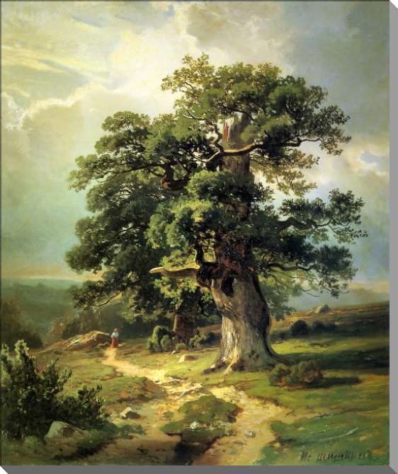 Картины на пластике, пеноркартоне Дубы