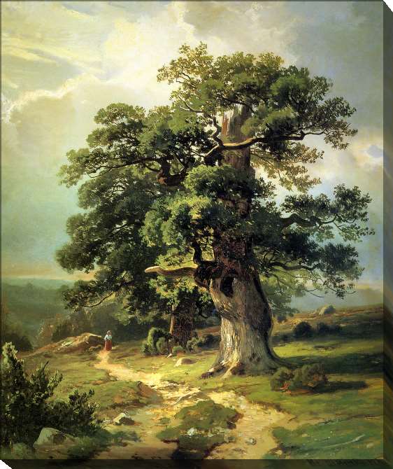 Paintings on canvas Oaks