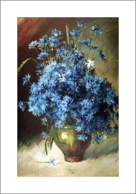 Картины, фото с паспарту Васильки