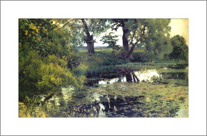 Картины, фото с паспарту Заросший пруд