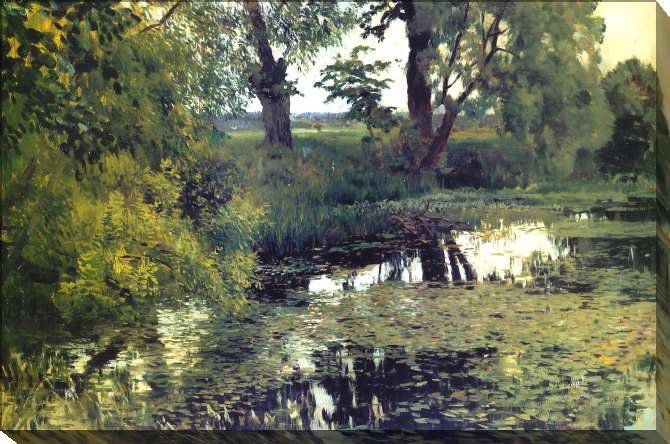 Paintings on canvas Overgrown pond
