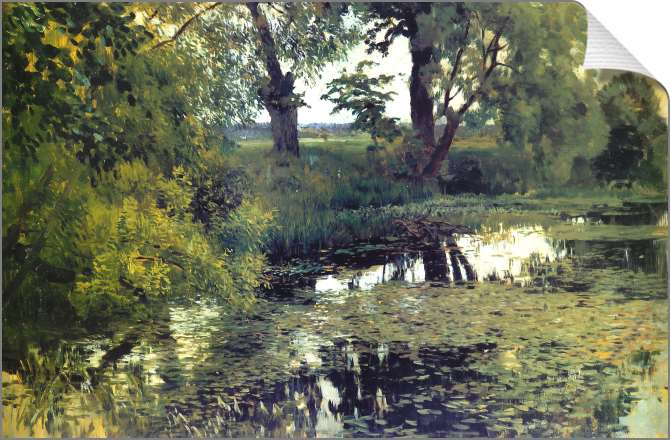 Картины на холсте Заросший пруд