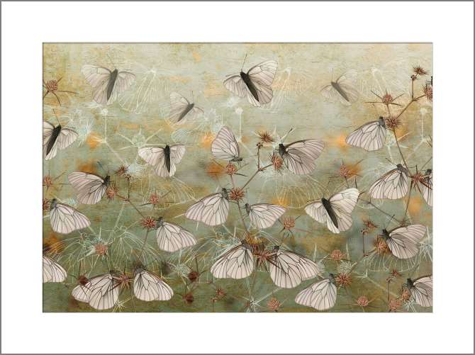 Картины на холсте Бабочки на стене-гранж зеленого цвета