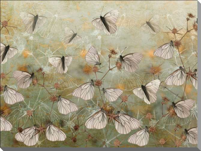 Картины на пластике, пеноркартоне Бабочки на стене-гранж зеленого цвета