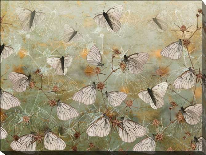 Картины на холсте Butterflies on the wall-grunge green