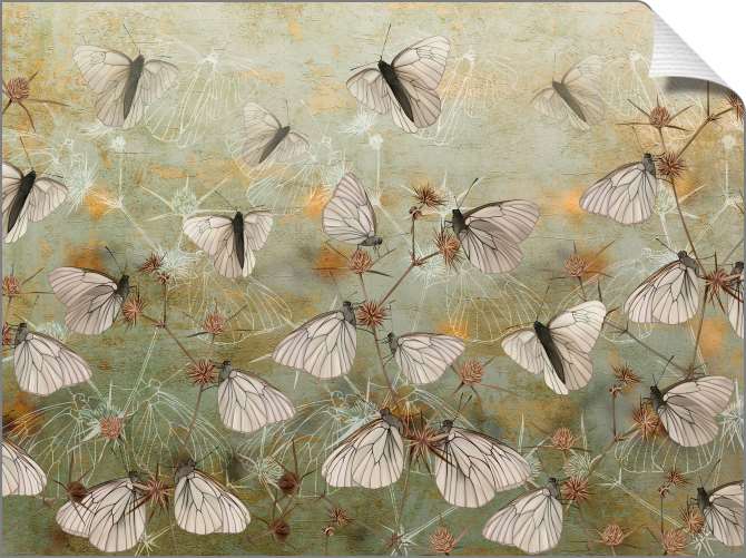 Картины на холсте Бабочки на стене-гранж зеленого цвета
