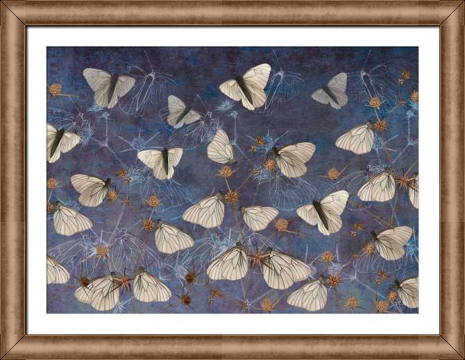 Картины на холсте Бабочки на стене-гранж синего цвета