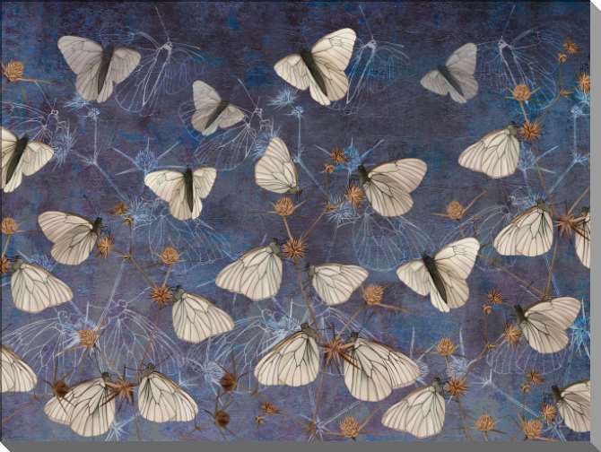 Картины на пластике, пеноркартоне Бабочки на стене-гранж синего цвета
