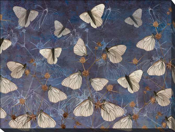 Картины на холсте Butterflies on the wall-grunge blue
