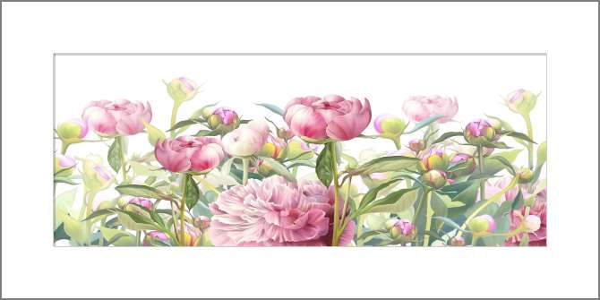 Картины на холсте Нежные розовые пионы