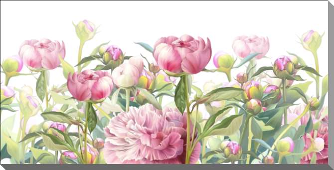 Картины на пластике, пеноркартоне Нежные розовые пионы