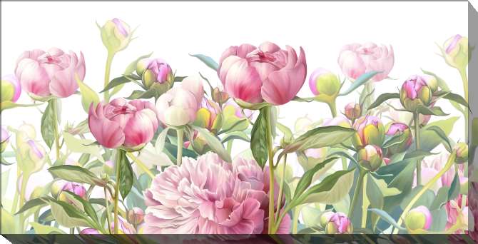 Paintings on canvas Delicate pink peonies