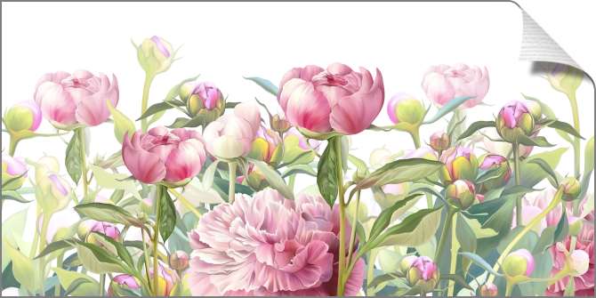 Картины на холсте Нежные розовые пионы