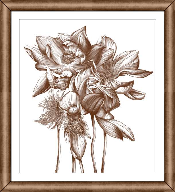 Картины на холсте Графический рисунок кувшинки