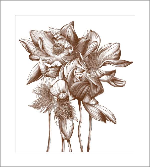 Картины на холсте Графический рисунок кувшинки