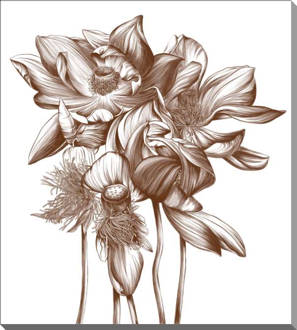 Картины на пластике, пеноркартоне Графический рисунок кувшинки