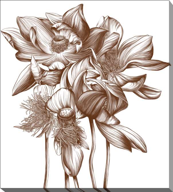 Paintings on canvas Graphic drawing of a water lily