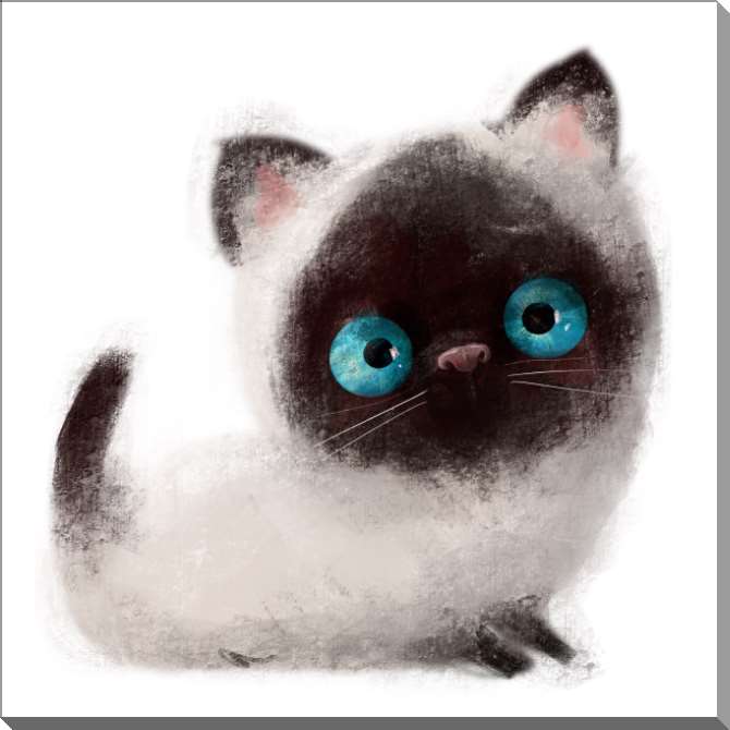 Картины на пластике, пеноркартоне Пушистый котёнок с голубыми глазами