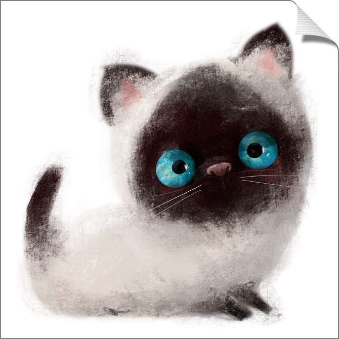 Картины на холсте Пушистый котёнок с голубыми глазами