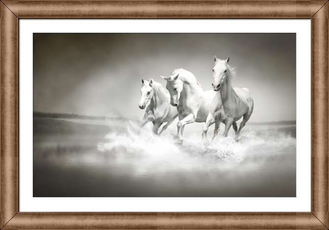Картины в рамке, багете Табун белых лошадей в брызгах воды