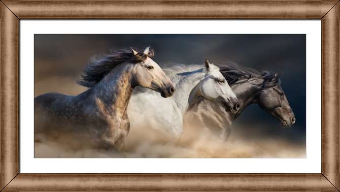 Картины в рамке, багете Галопом в песках