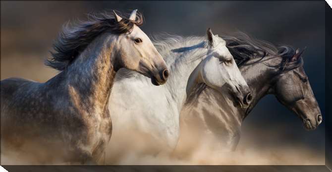 Картины на подрамнике Галопом в песках