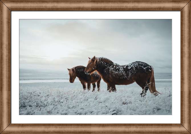 Картины в рамке, багете Лошади на зимнем фоне