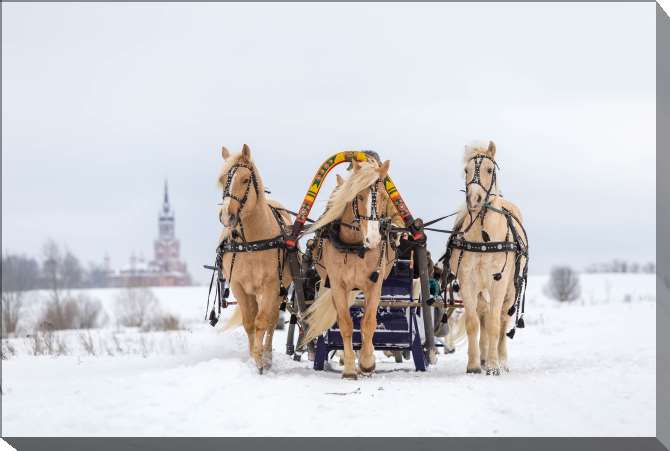 Картины на подрамнике Зимняя тройка лошадей