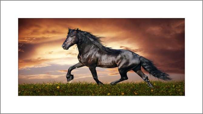 Картины, фото с паспарту Вороной конь