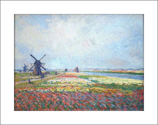 Купить и печать на заказ Картины, фото с паспарту Клод Моне Fields of Flowers and Windmills near Leiden