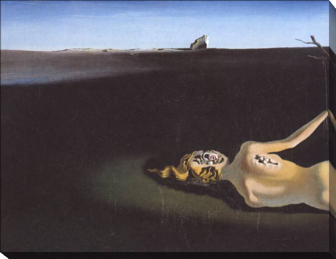 Paintings on canvas Salvador Dali Woman Sleeping in a Landscape