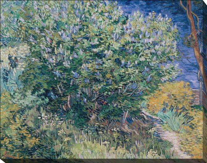 Paintings on canvas Vincent Van Gogh Lilac Bush