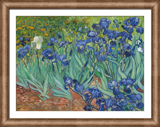 Картины в рамке, багете Vincent Van Gogh Irises