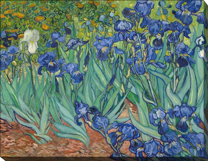 Картины на холсте Vincent Van Gogh Irises