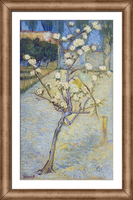 Картины в рамке, багете Vincent van Gogh Pear Tree in Blossom