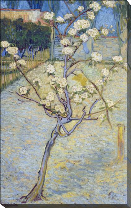 Paintings on canvas Vincent van Gogh Pear Tree in Blossom