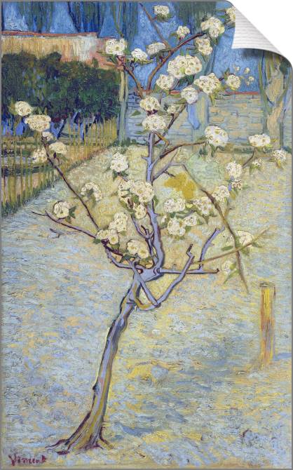 Paintings on canvas Vincent van Gogh Pear Tree in Blossom