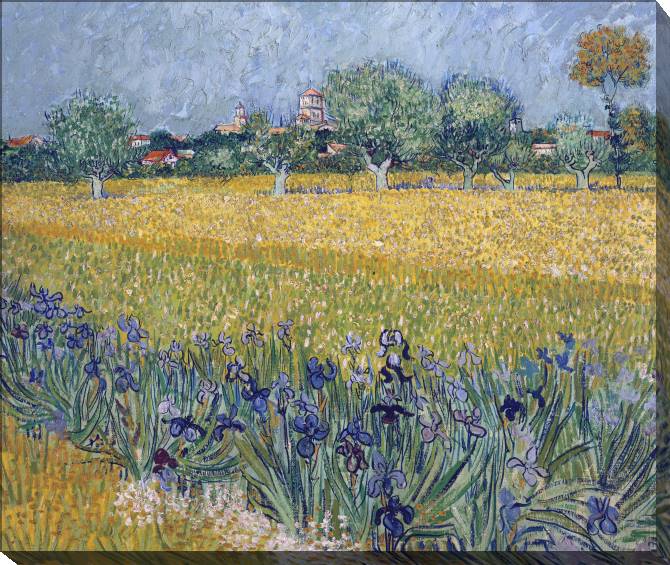 Картины на холсте Vincent van Gogh View of Arles with Irises